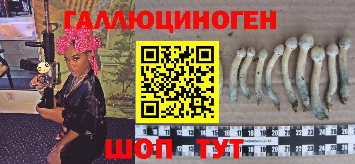 Псилоцибиновые грибы ЛСД  Галлюциногенные грибы Psilocybine cubensis  Можга  Вход с VPN 