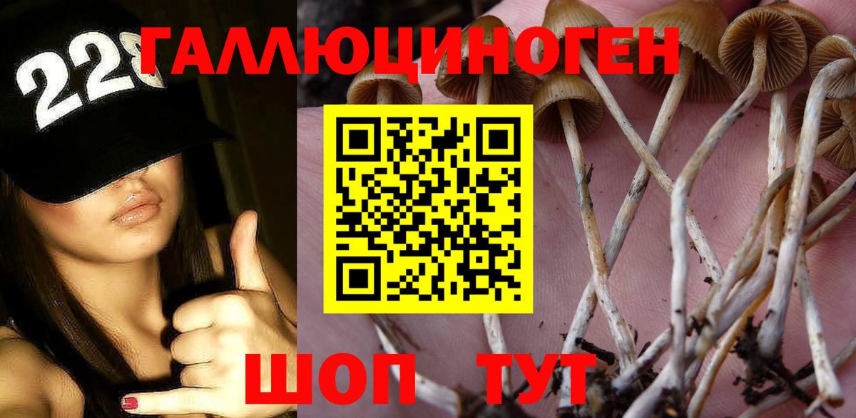 Псилоцибиновые грибы ЛСД Можга